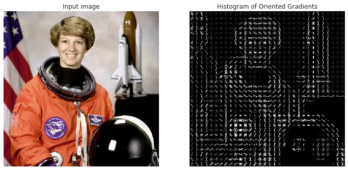 _images/0271c2b90810ea64e31e90036ad12d9b0f457aaaa98f365c698fee341b07a15f.png
